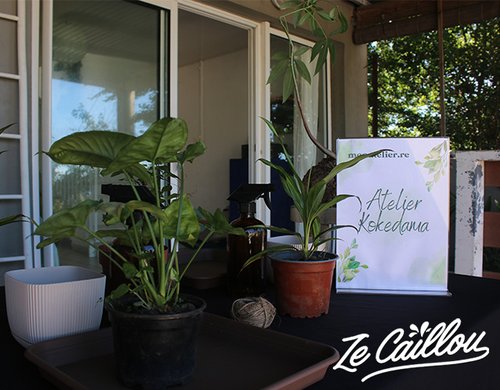 1-atelier-kokedama-reunion