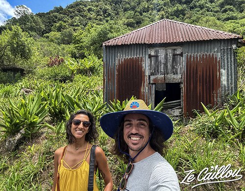 1-maison-du-curcuma-reunion-zecaillou