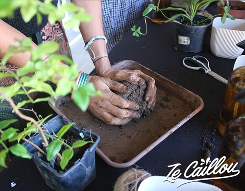 3-atelier-kokedama-reunion-modeler-terre