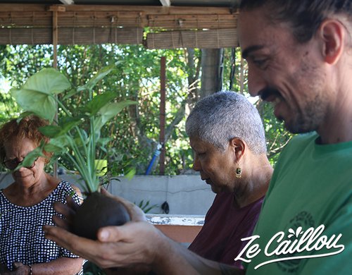 6-atelier-kokedama-reunion-jardinage