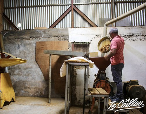 7-maison-du-curcuma-visite-moulin-epice